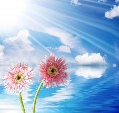 Thought Replacement Therapy