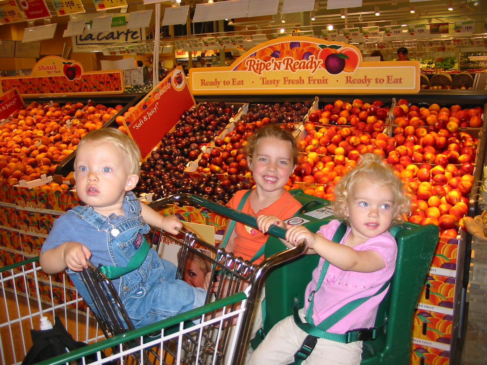 Grocery Shopping Tips (that Include Your Kids!) – Episode 50