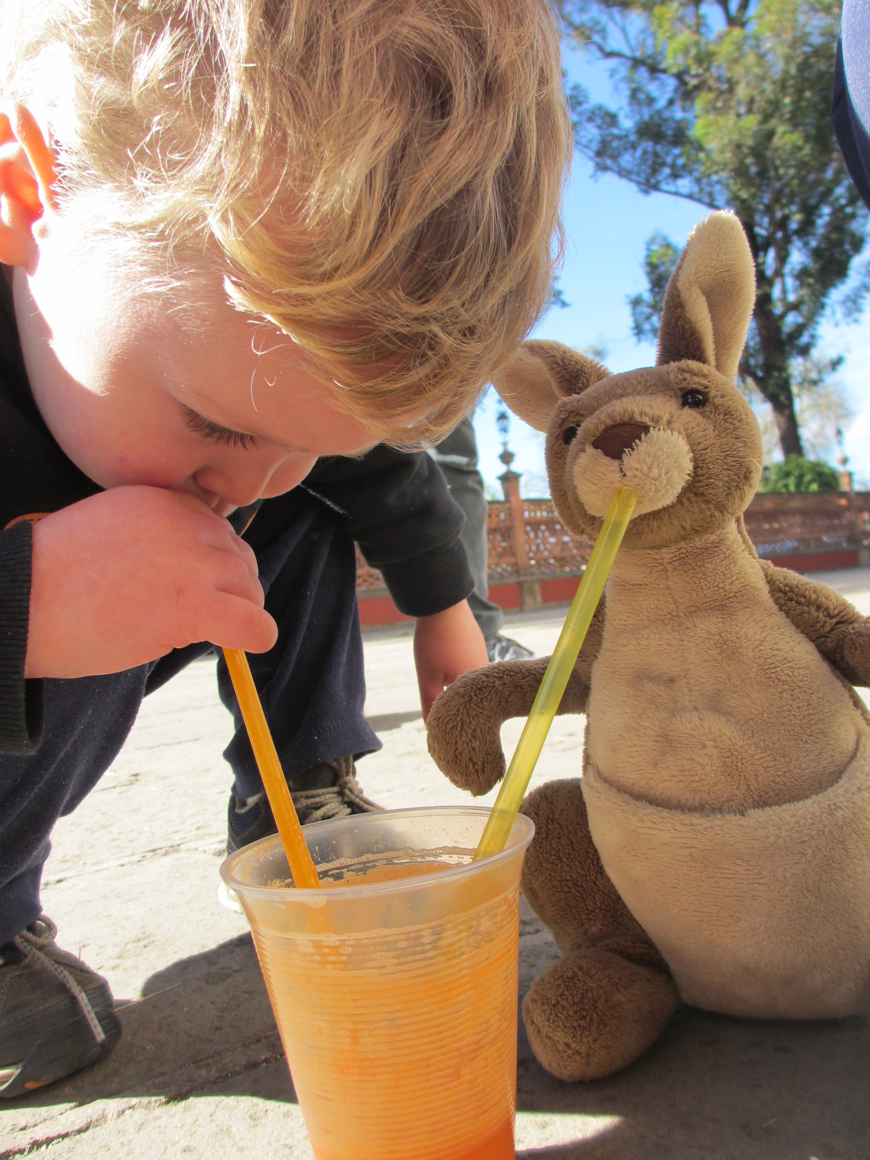 All Hail the Kangaroo!