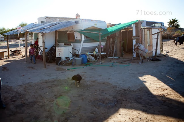 Helping Children be more Grateful