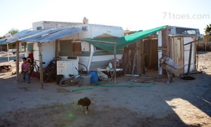 Helping Our Children Be More Grateful: Podcast Episode