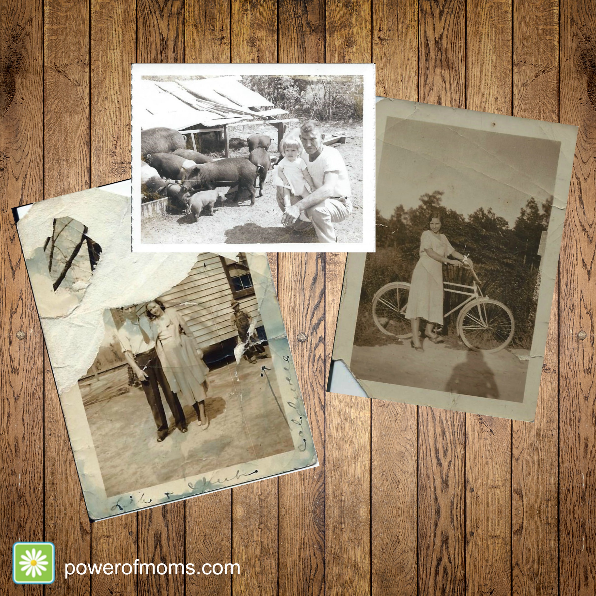 Passing on a Legacy of Wisdom